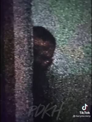 The Haunting Of Harry McClary Part 8 #paranormal #horror #ghosts #poltergeist #demons #demonic #haunted #haunting #hauntedhouse #scarytiktoks #scaryvideos #scary 