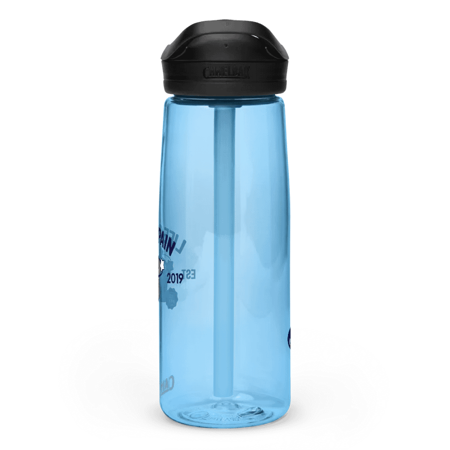 Life is Pain CamelBak product image (4)
