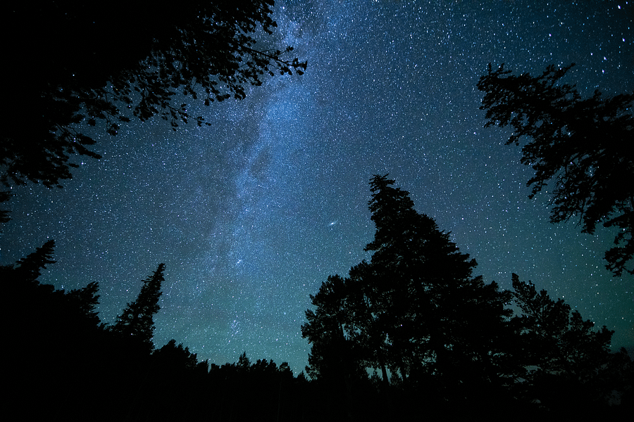 Print - Great Basin National Park, NV product image (13)