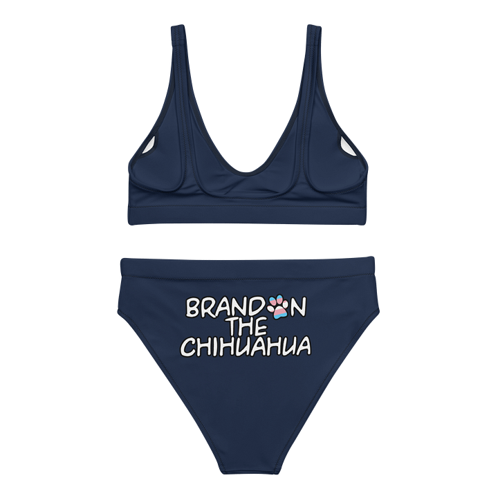 High waist 2 Piece Swimsuit product image (2)