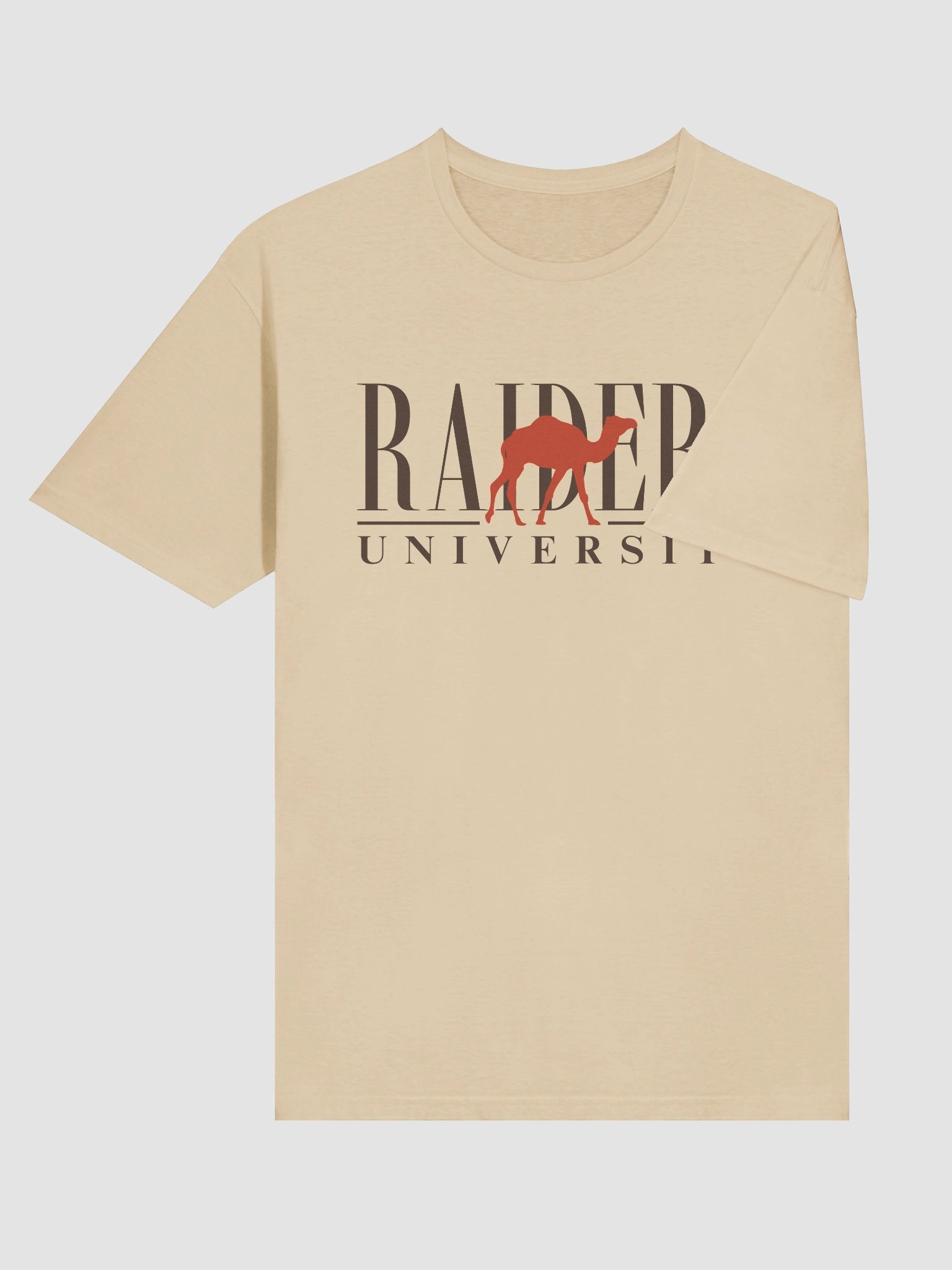 Raiders University Tee product image (6)