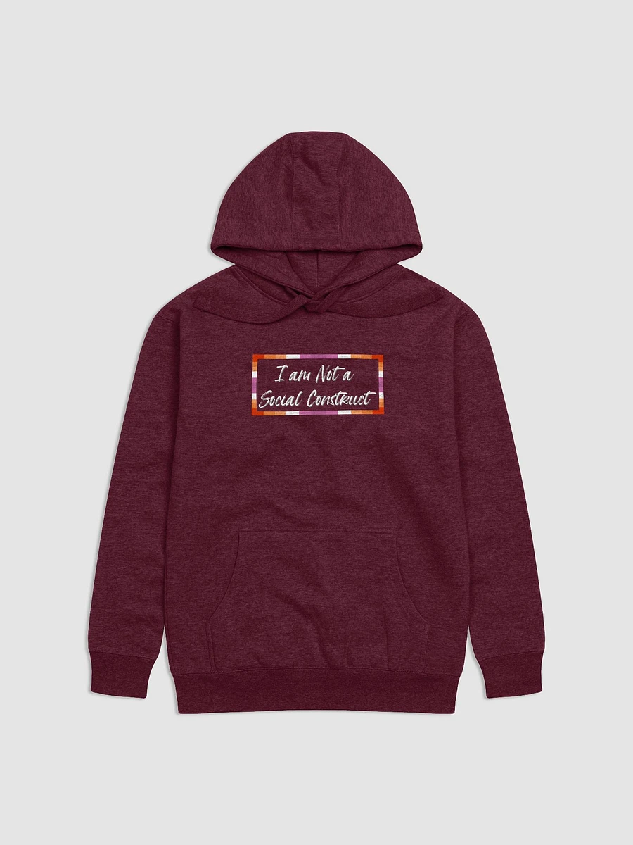 I am Not a Social Construct - Lesbian - Hoodie product image (1)