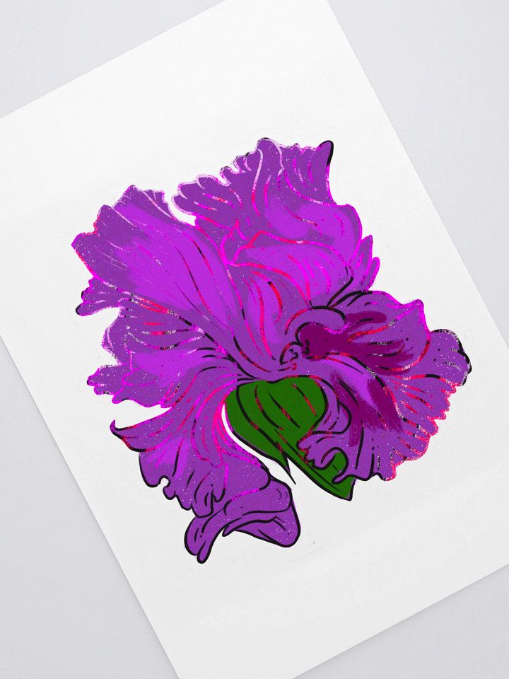 Iris Lilly product image (1)