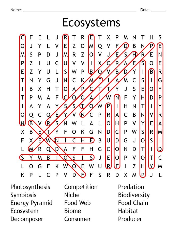 Ecosystems Word Search - Science Vocabulary Activity product image (2)