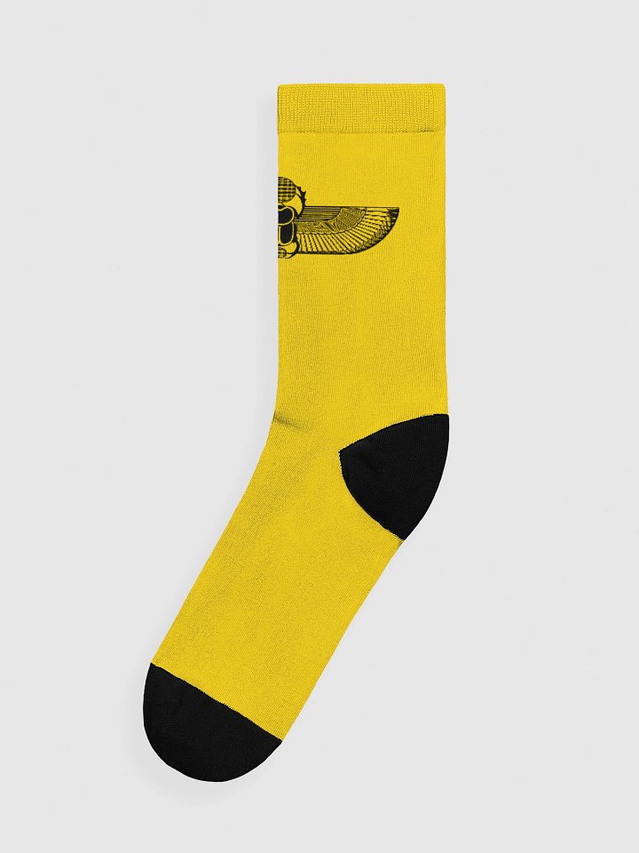 Horizon logo Crew Socks - Deacon product image (1)