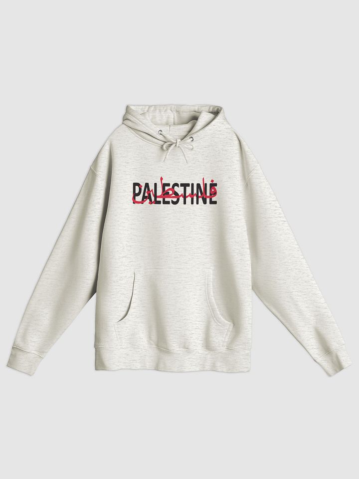 Palestine Hoodie product image (1)