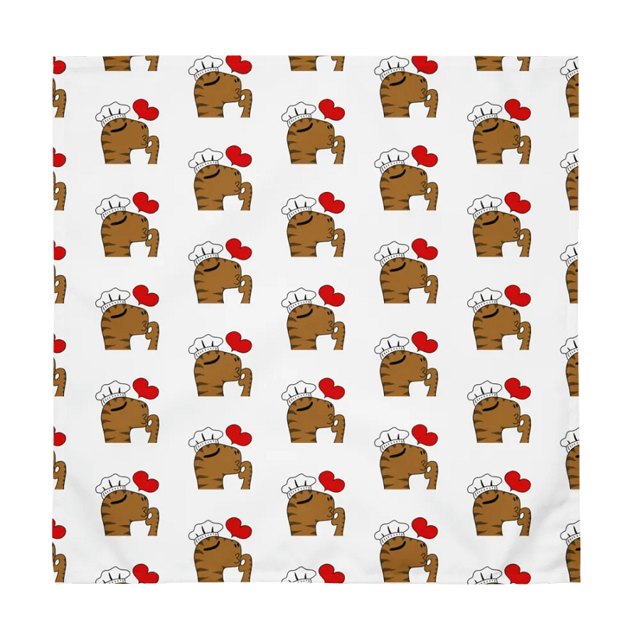 Chef Douglas Cloth Napkin Set (4 Napkins) product image (8)