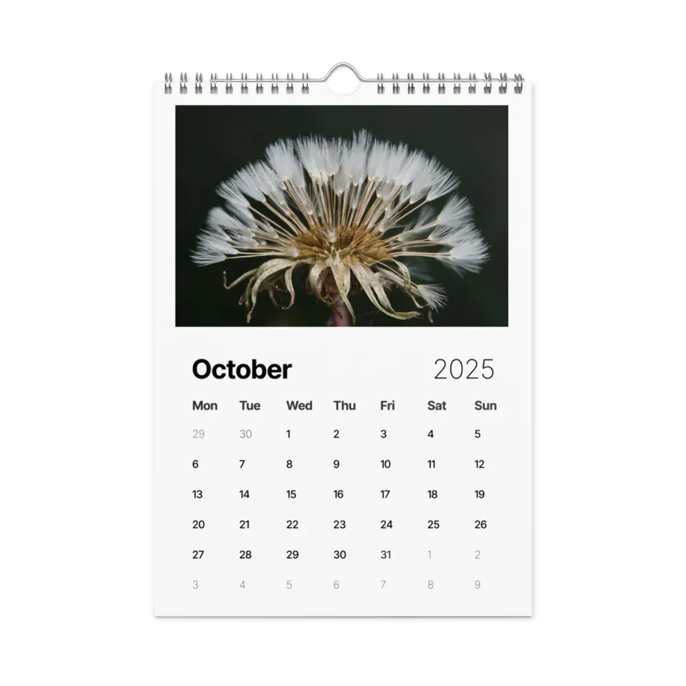 Ephemeral Dandelions 2025 Wall Calendar product image (11)