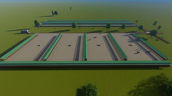 500 Bulls Feedlot Design Plans product image (2)