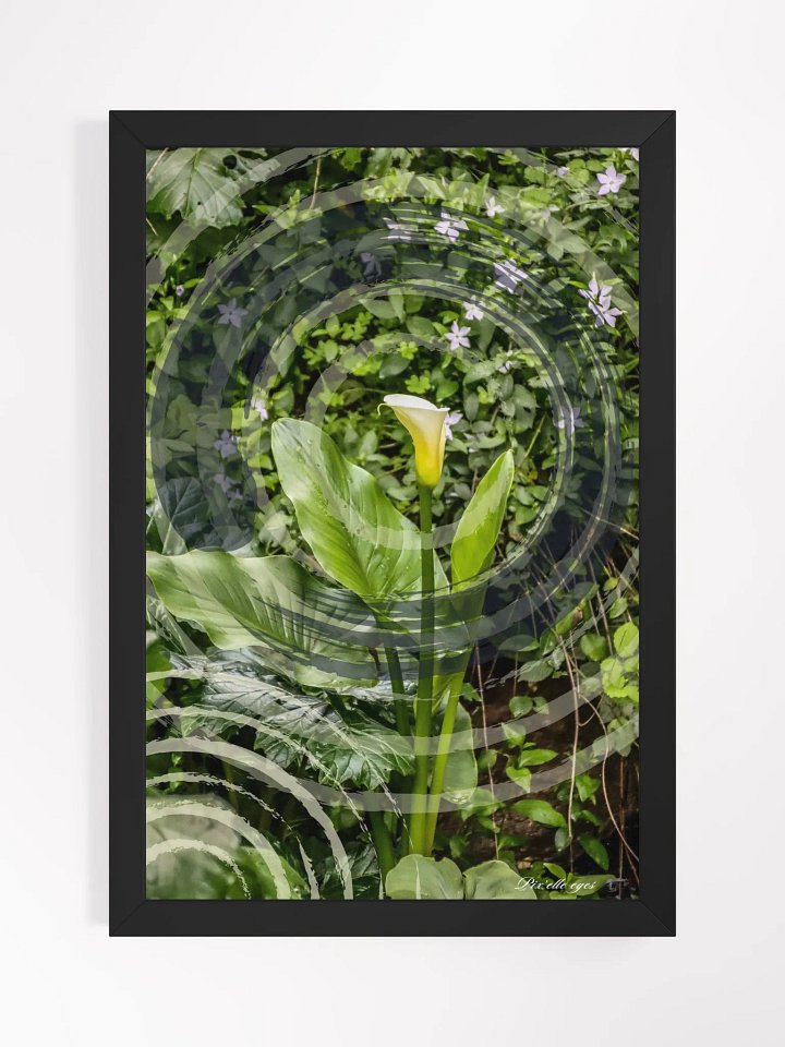 GeoGraphik Art Print – Rayol Canadel – White Arum product image (2)