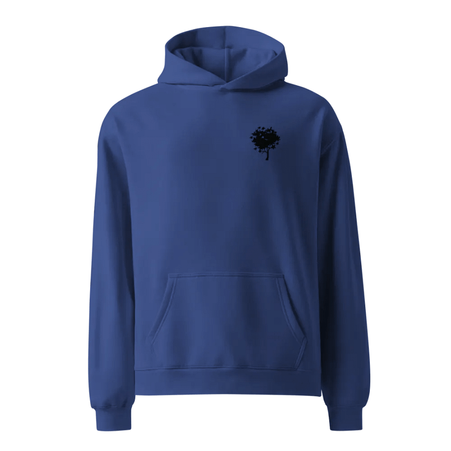 Hoodie product image (1)