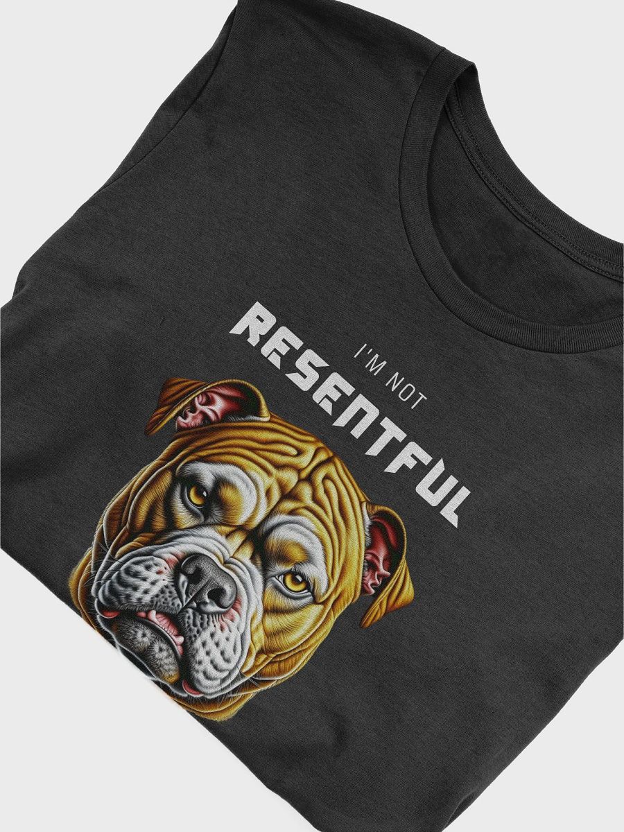 I'm not resentful product image (5)