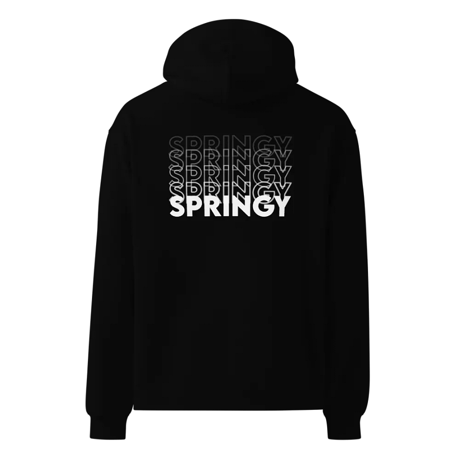 SPRINGY - Signed front & back Hoodie - * LIMITED EDITION * product image (4)