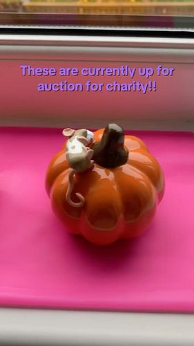 Which is your favourite?? Want them? They’re up for auction for charity!!
-
#charity #bluecross #fundraiser #rats #halloween ...