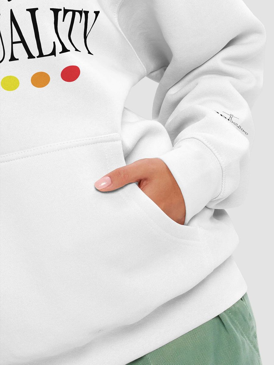 Conspiracy Leads To Spirituality - Lane Seven Premium Pullover Hoodie product image (8)