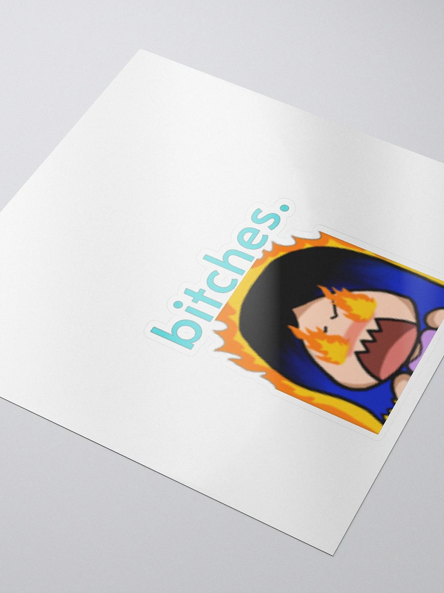 bitches sticker product image (3)