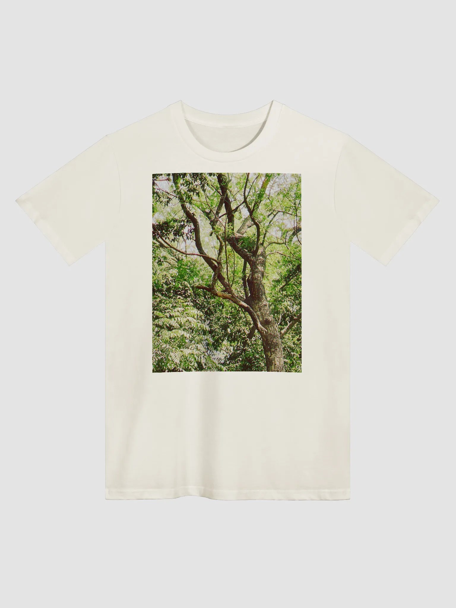 EARTH TONE DIVINE MUSIC TEE product image (1)