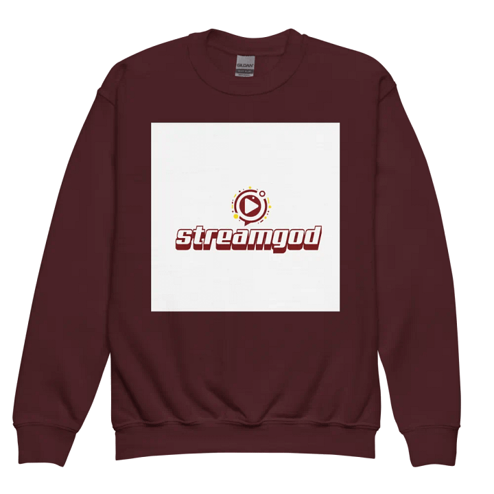 maroon youth STREAMGOD sweater product image (2)