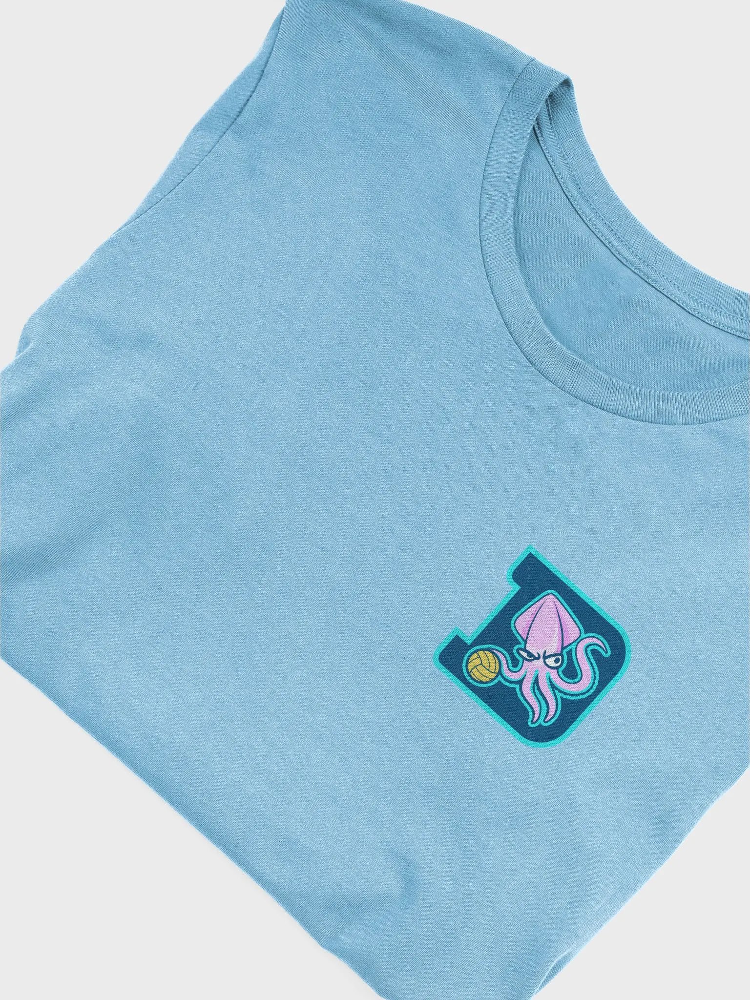 Shirt 1 - POLO product image (85)