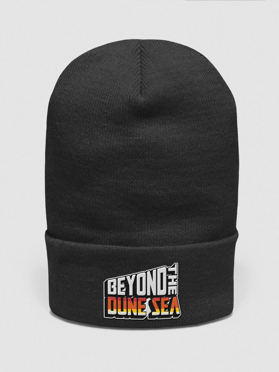 BTDS Beanie product image (1)