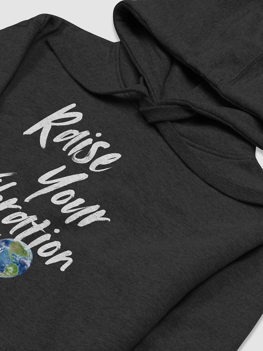 Raise Your Vibration Unisex Premium Hoodie product image (10)