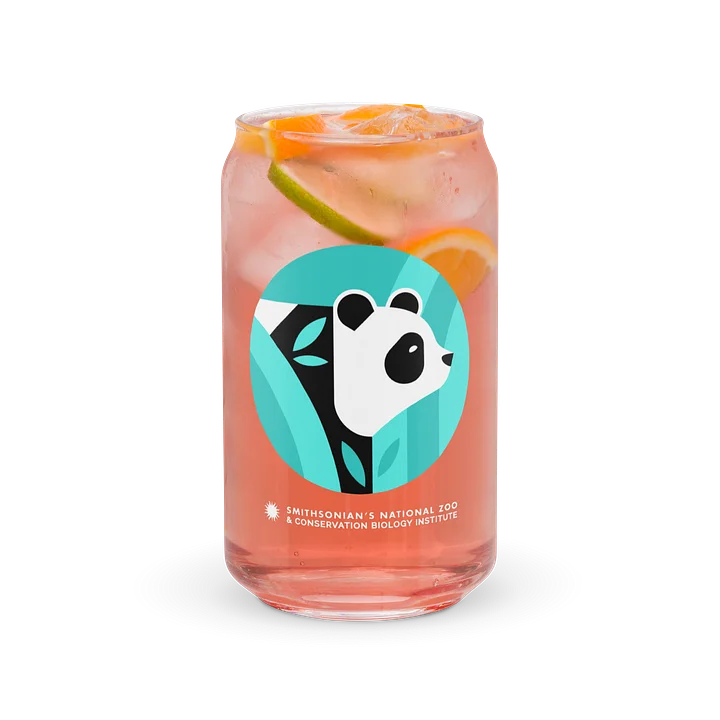 Pandas Are Here Glass (Teal) product image (2)