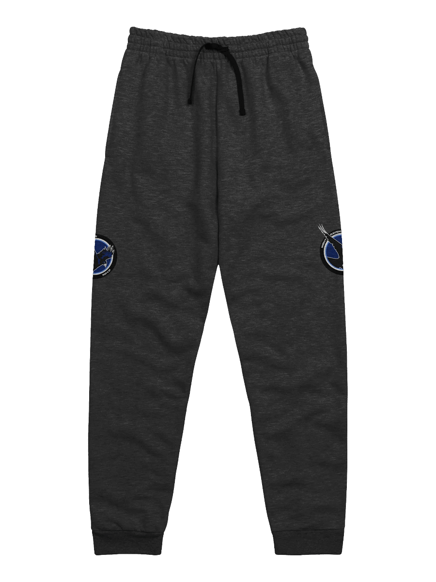 NIGHT RAVEN JOGGERS product image (6)