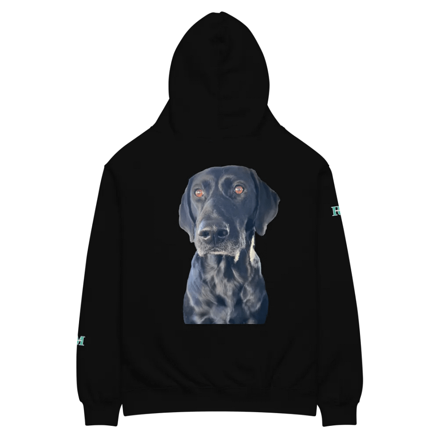 Zoe Sweartshirt product image (4)