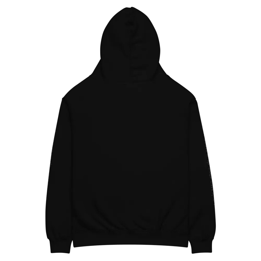 Oversized Prophecy Hoodie (Stealth) product image (4)