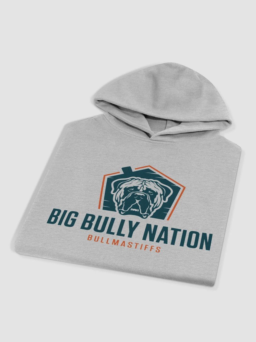 BBN Unisex Oversized Hoodie product image (4)