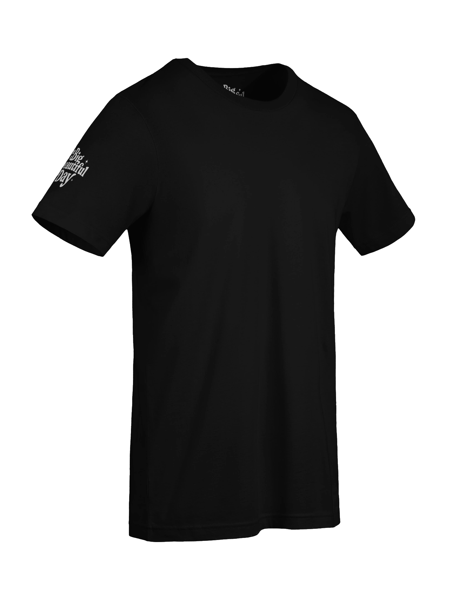 Soaring Big Beautiful Day Tee | Bella+Canvas product image (9)