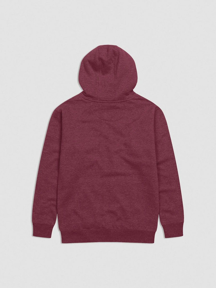 Quirky Quota Embroidered Legacy Hoodie product image (2)