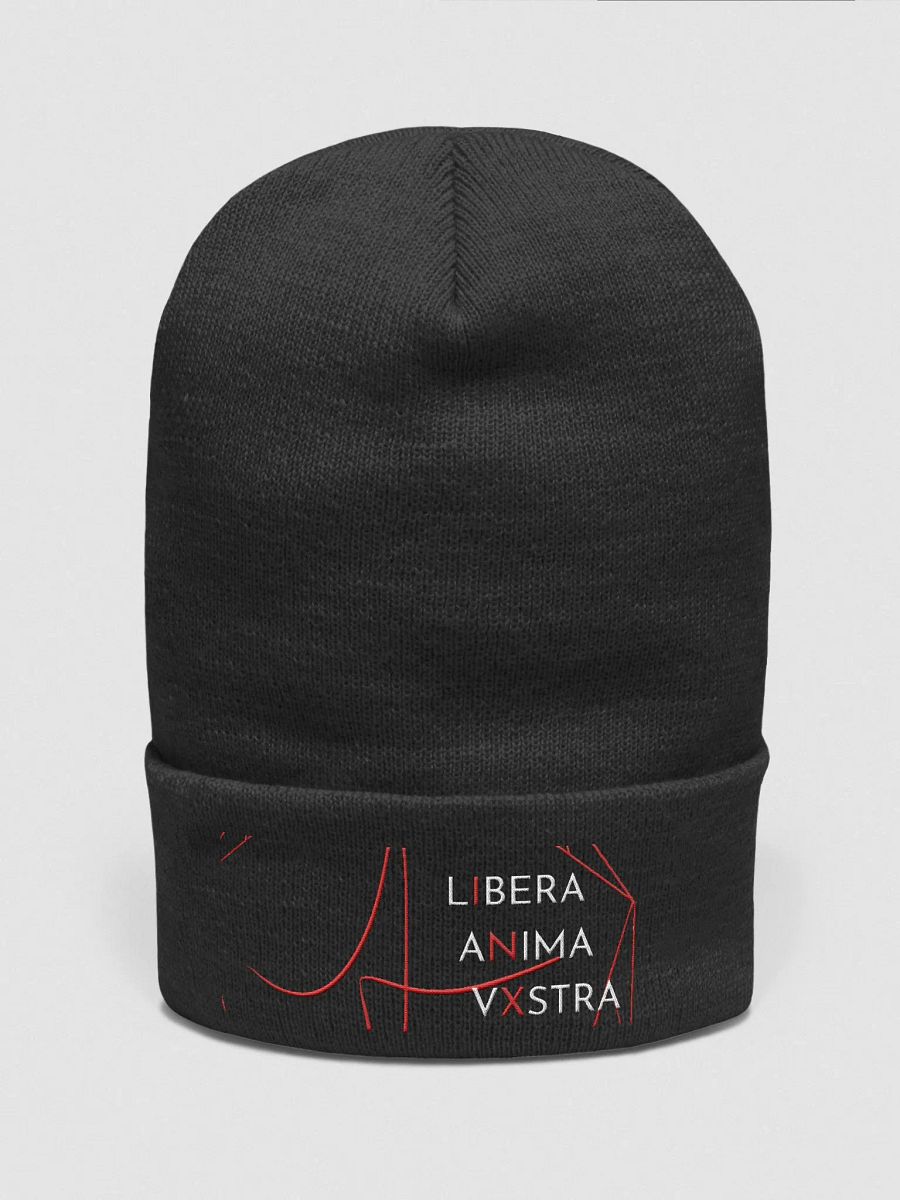 InX Beanie product image (31)