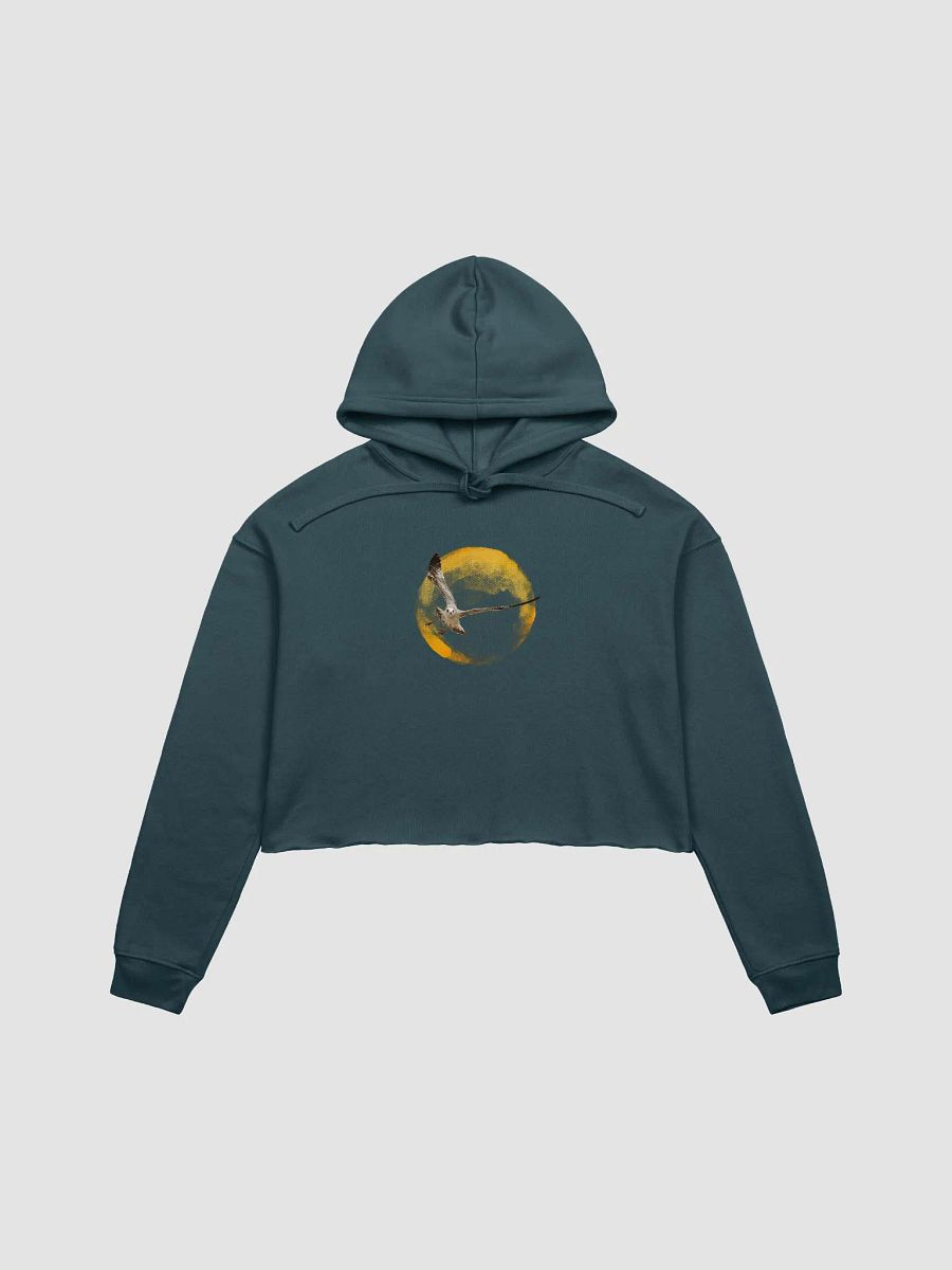 Young Sun Gull Crop Hoodie product image (1)