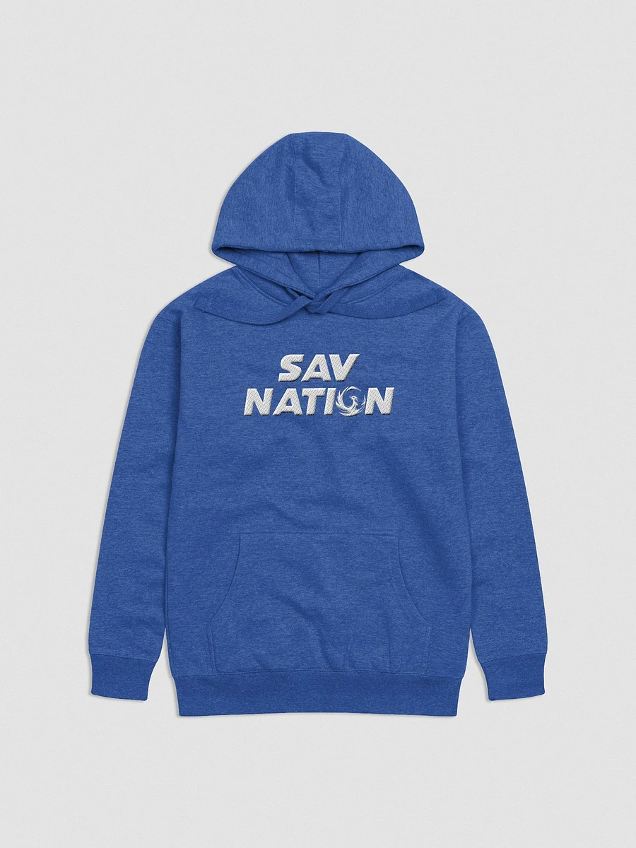Sav Nation Embroidered Hoodie product image (35)