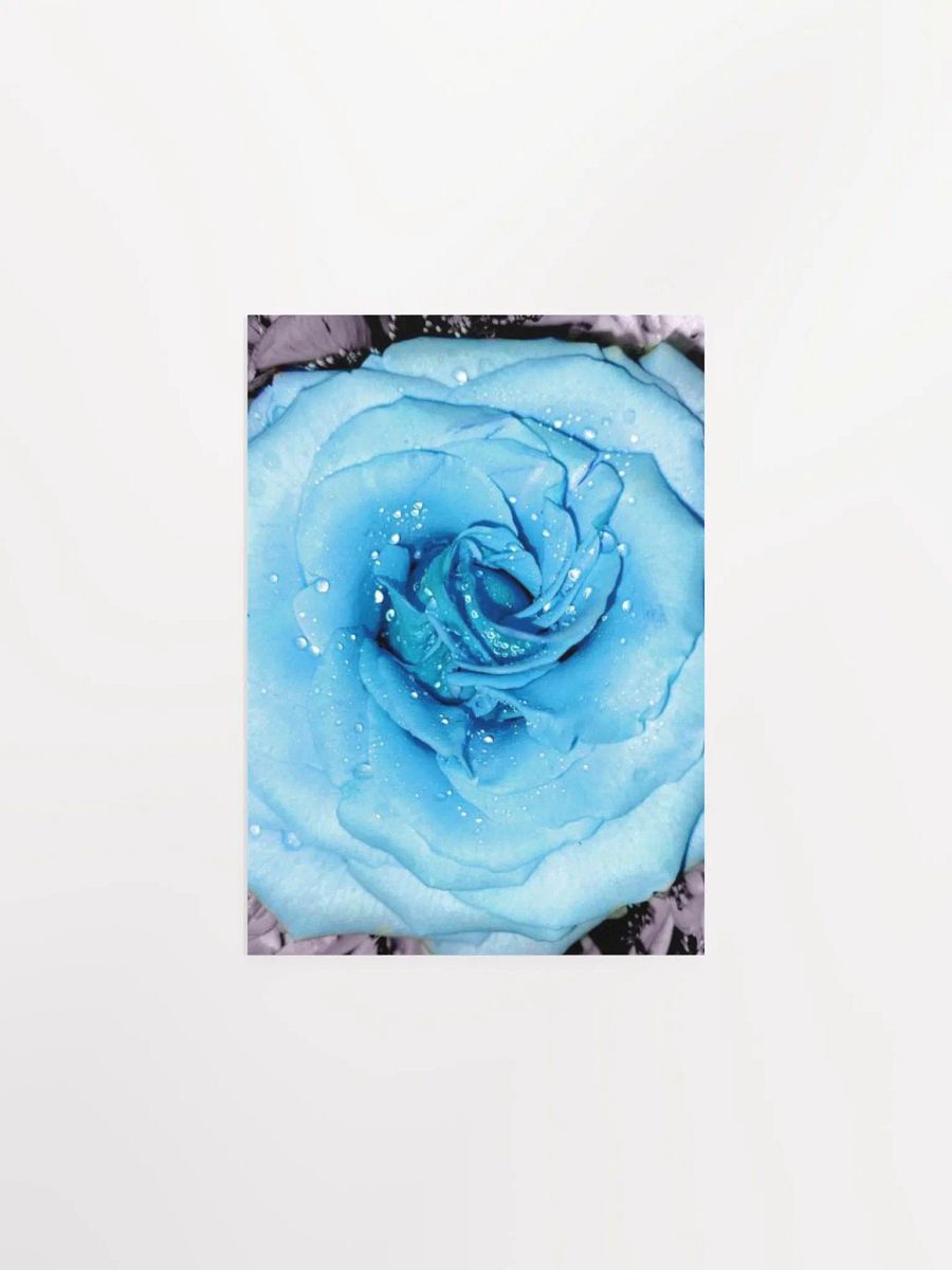 Blue Rose product image (3)