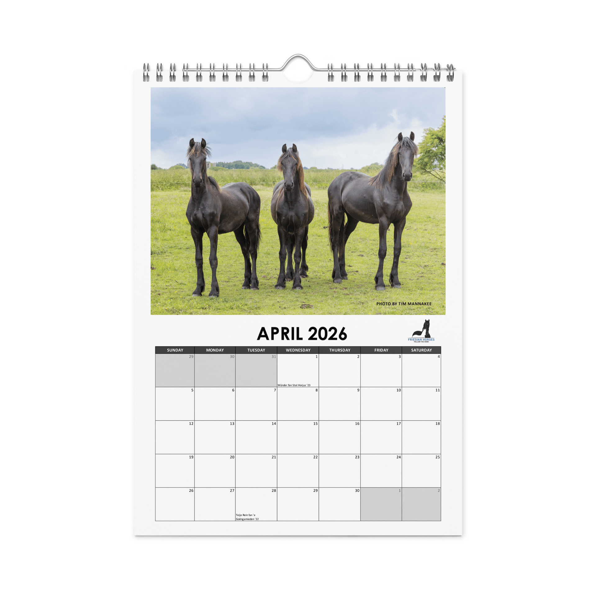 Friesian horses 2026 Wall Calendar product image (1)