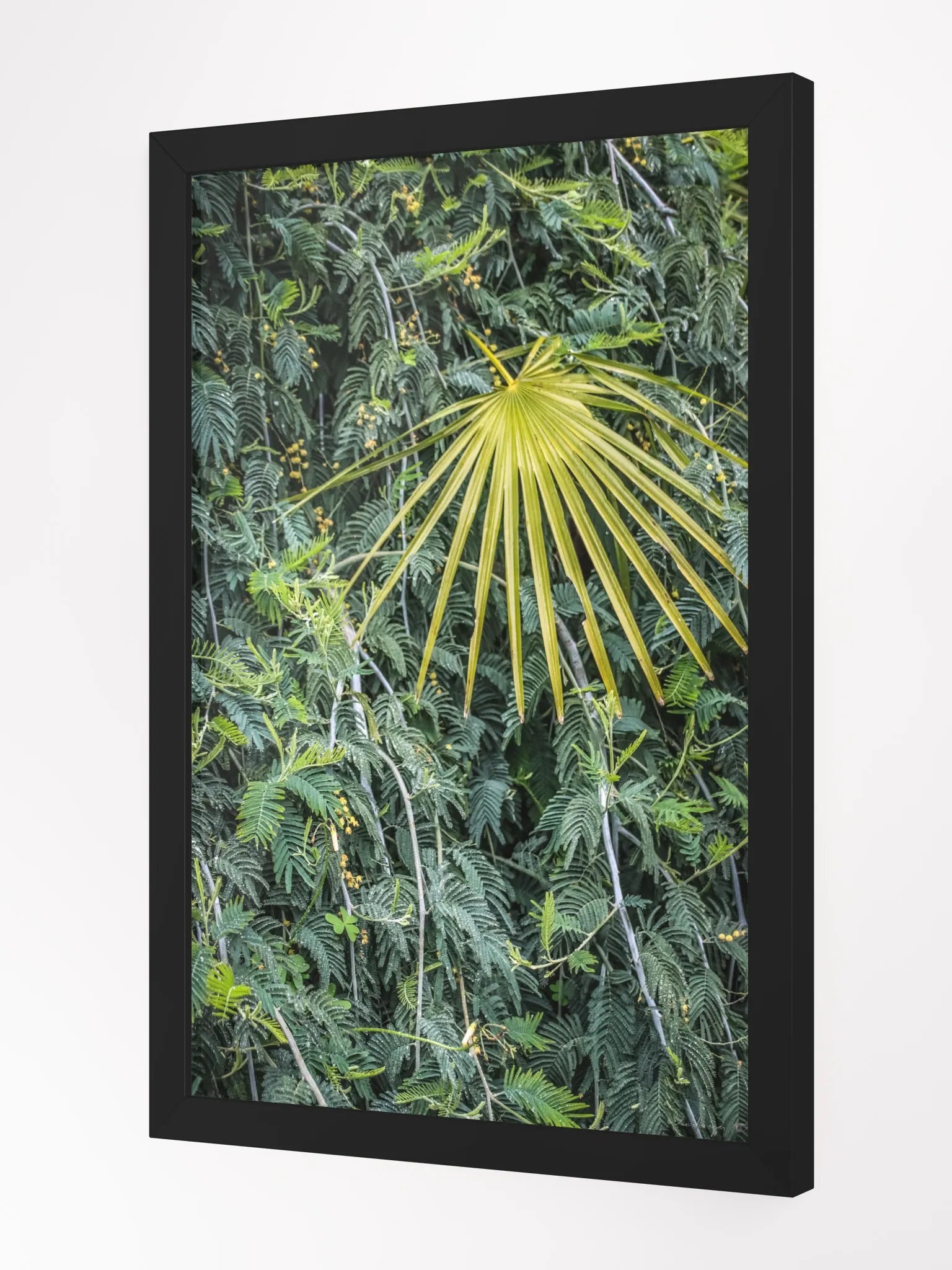 Print Fine Art – The Glow of the Palm | Rayol Canadel Collection product image (3)