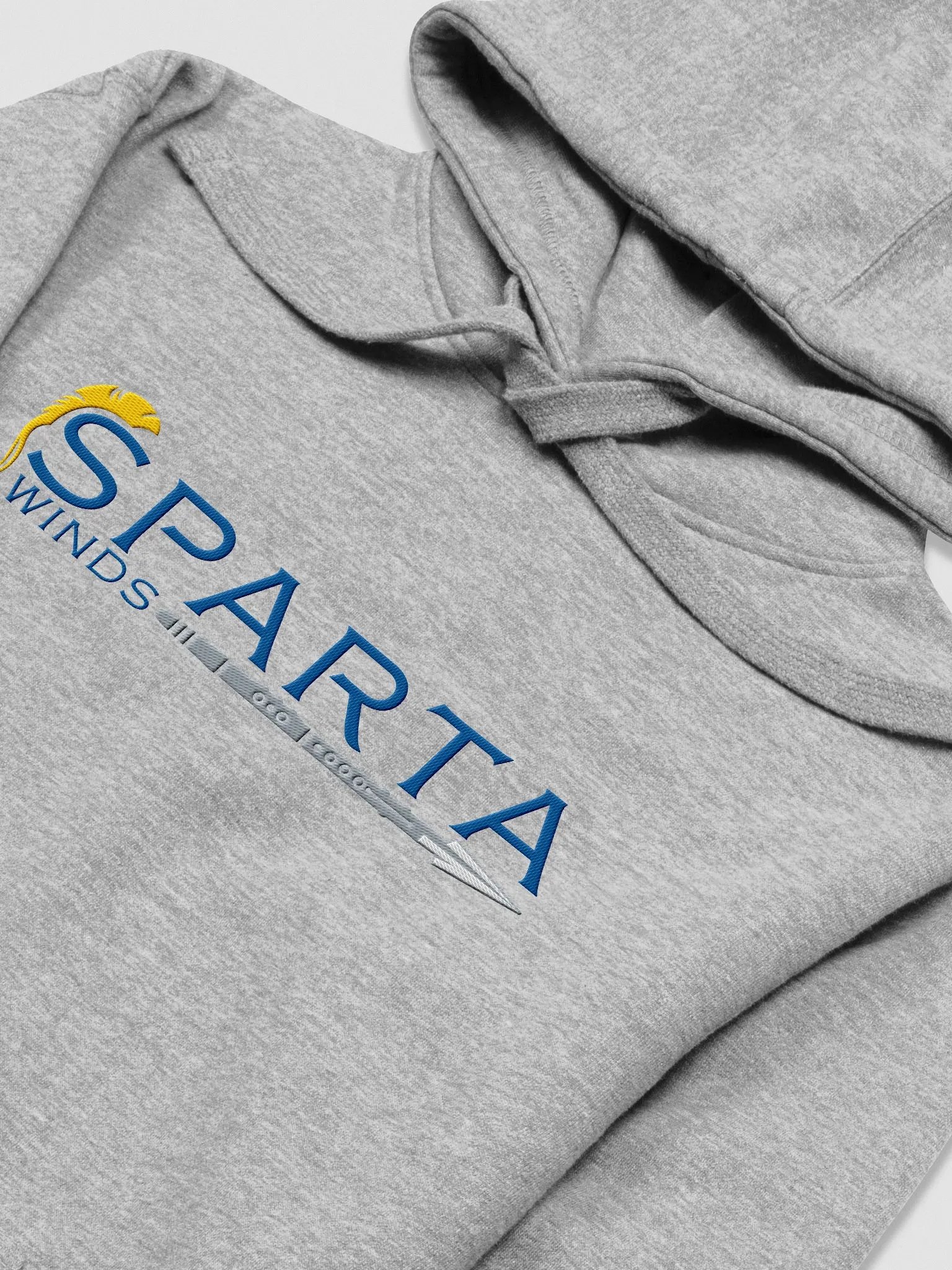 SW Embroidered Hoodie product image (1)
