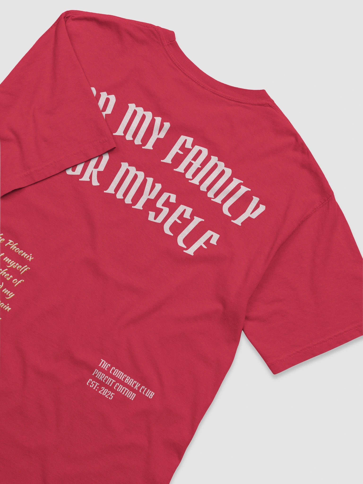 The Comeback Club Limited Edition T-Shirt product image (16)