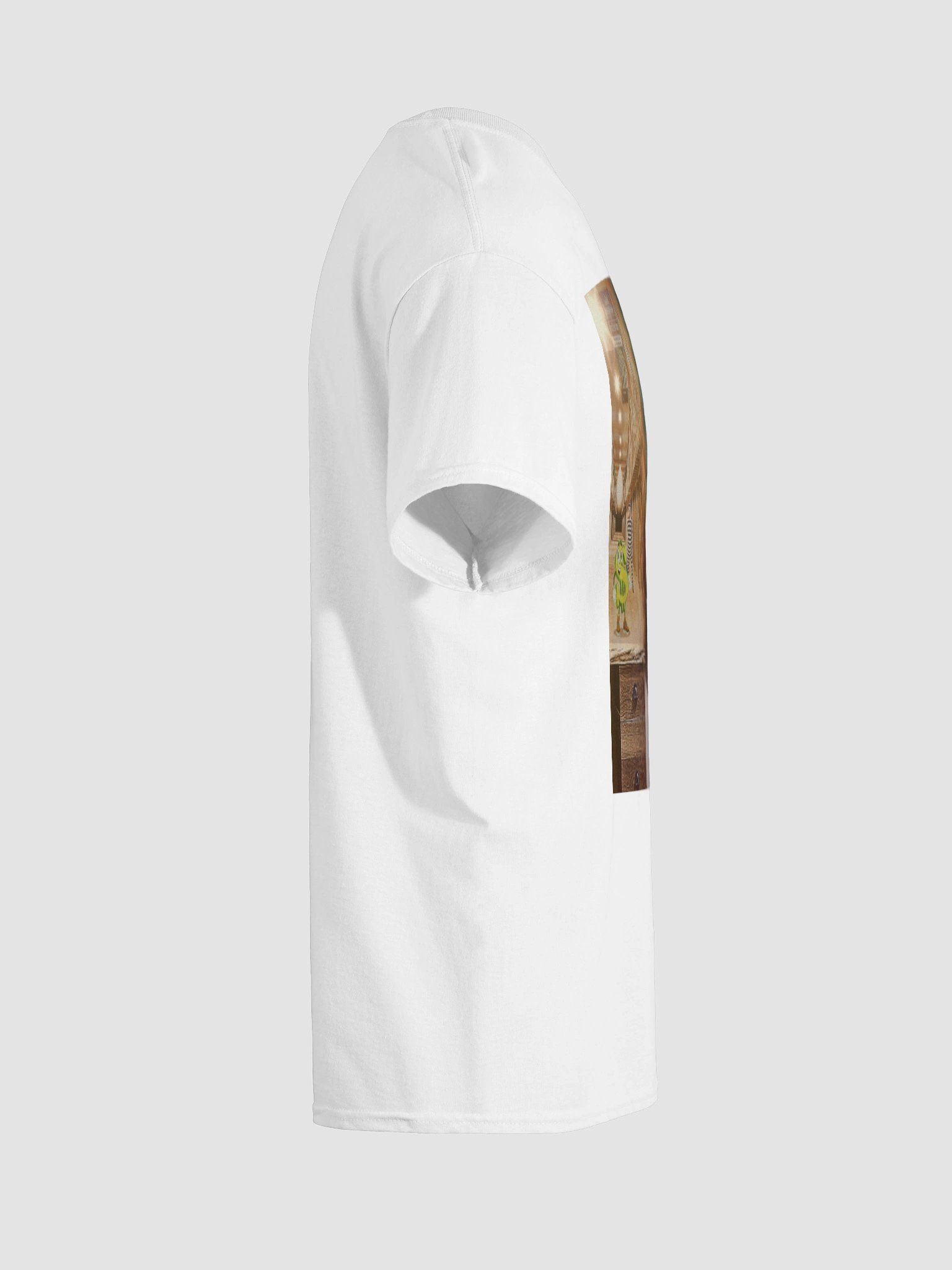 TAXPAYER JAIL product image (6)