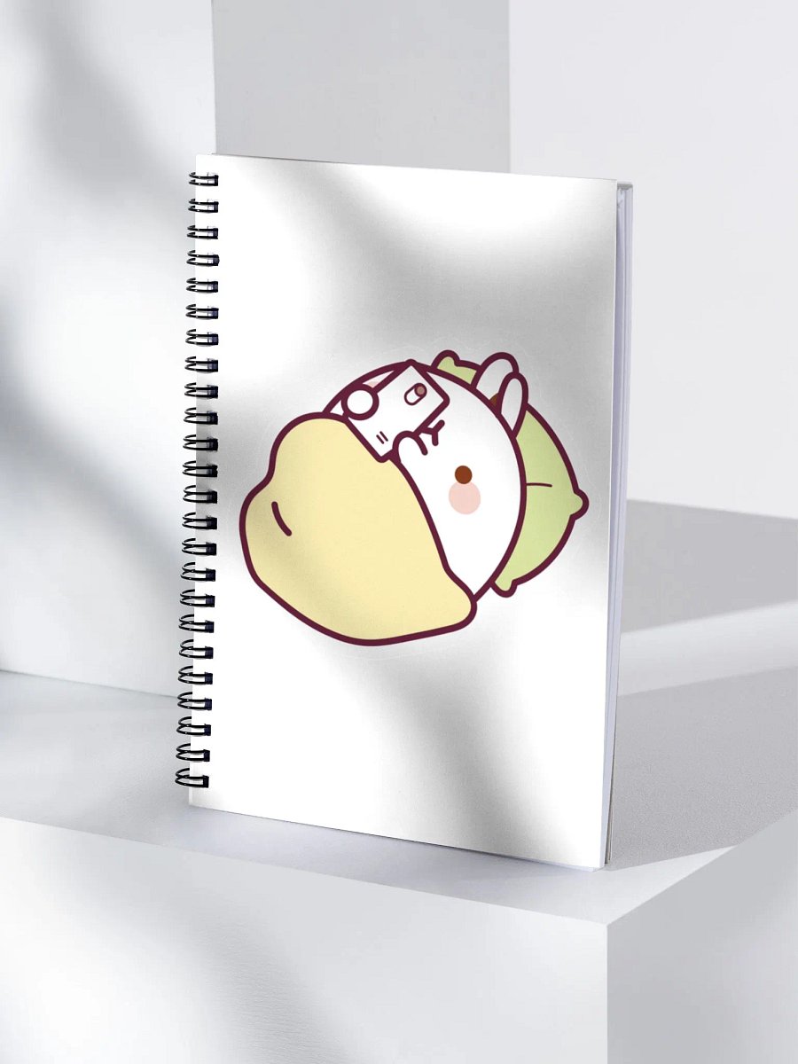 molang notebook product image (4)