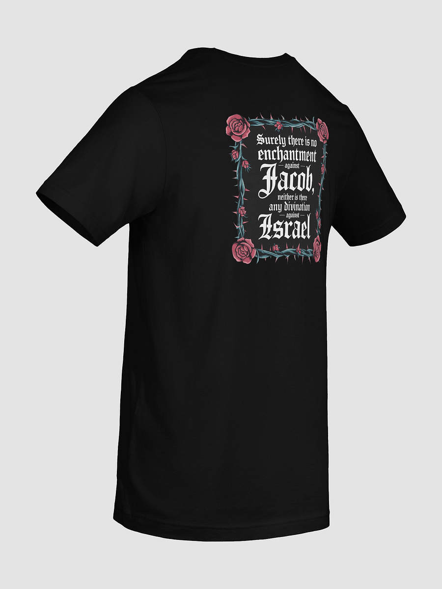 numbers 23:23 tee unisex product image (16)