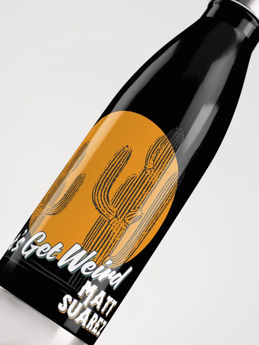 MS Steel Bottle product image (10)