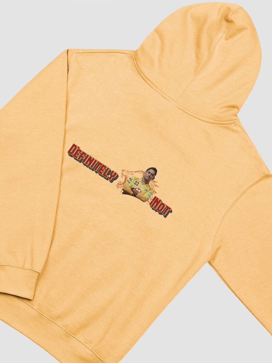 Independent Trading Co. Midweight Hoodie product image (4)