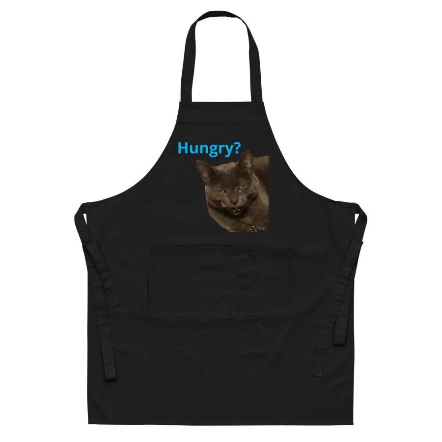 Sansa Kitty 