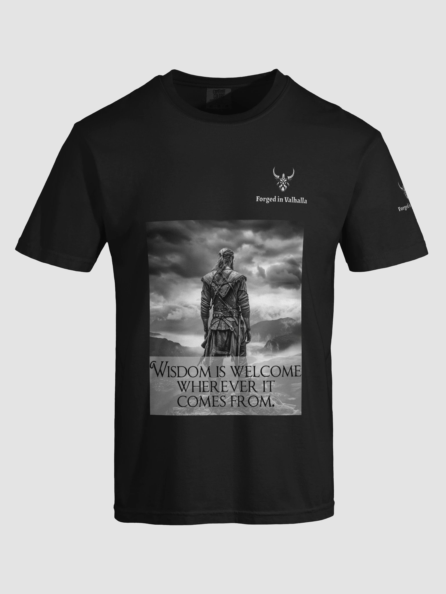 Wisdom is Welcome Men's Viking T-Shirt product image (86)