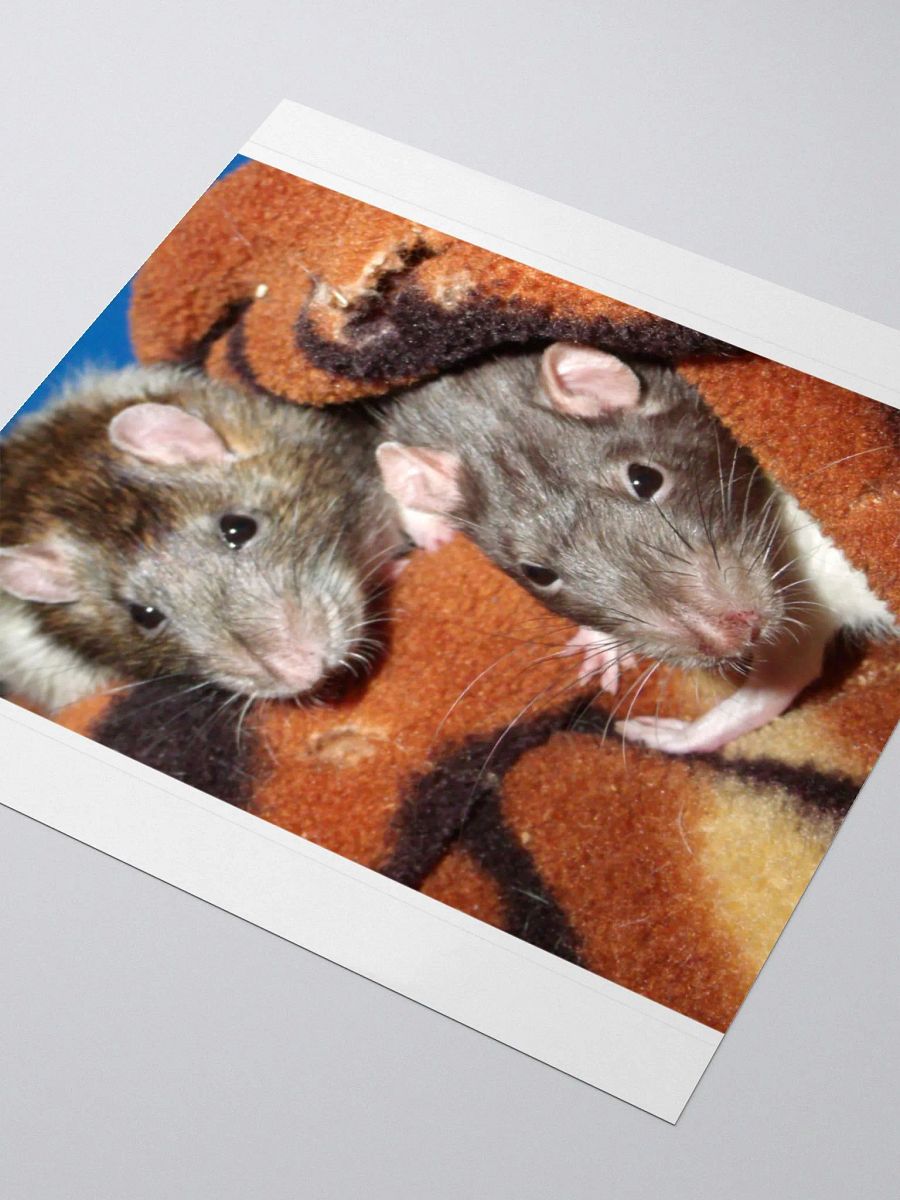 Cute rats sticker product image (8)