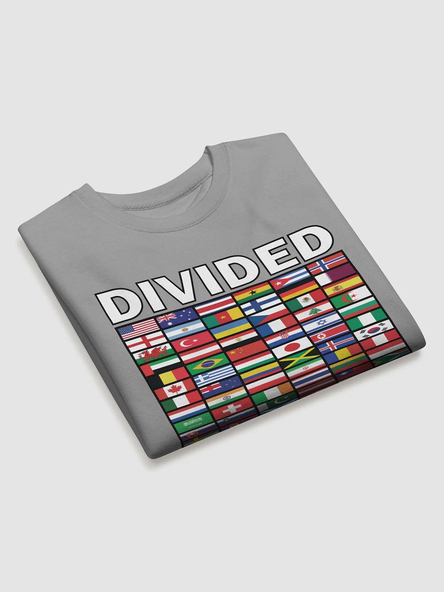 Divided We Fall - Nations - Cotton Heritage Premium Sweatshirt product image (3)