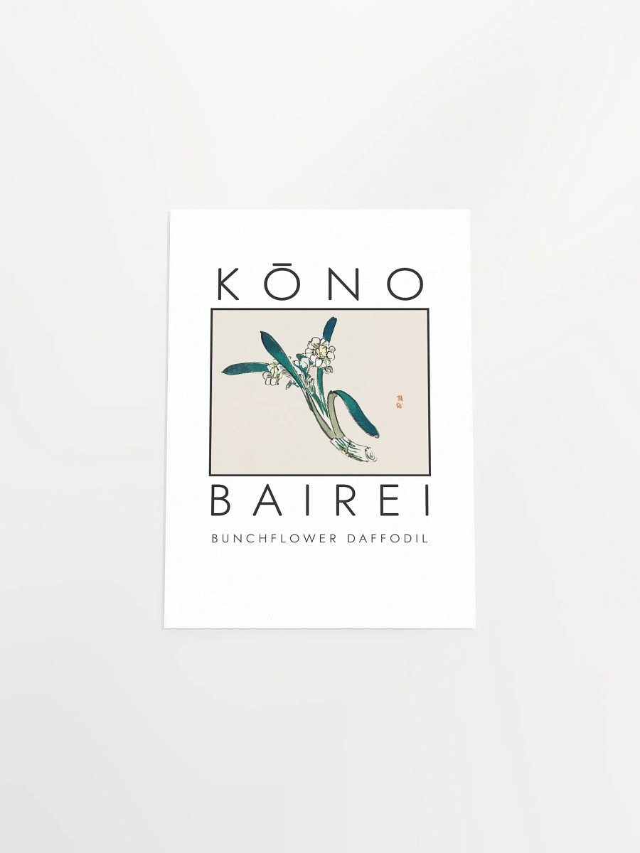 Kono Bairei Bunchflower Daffodil Poster product image (5)